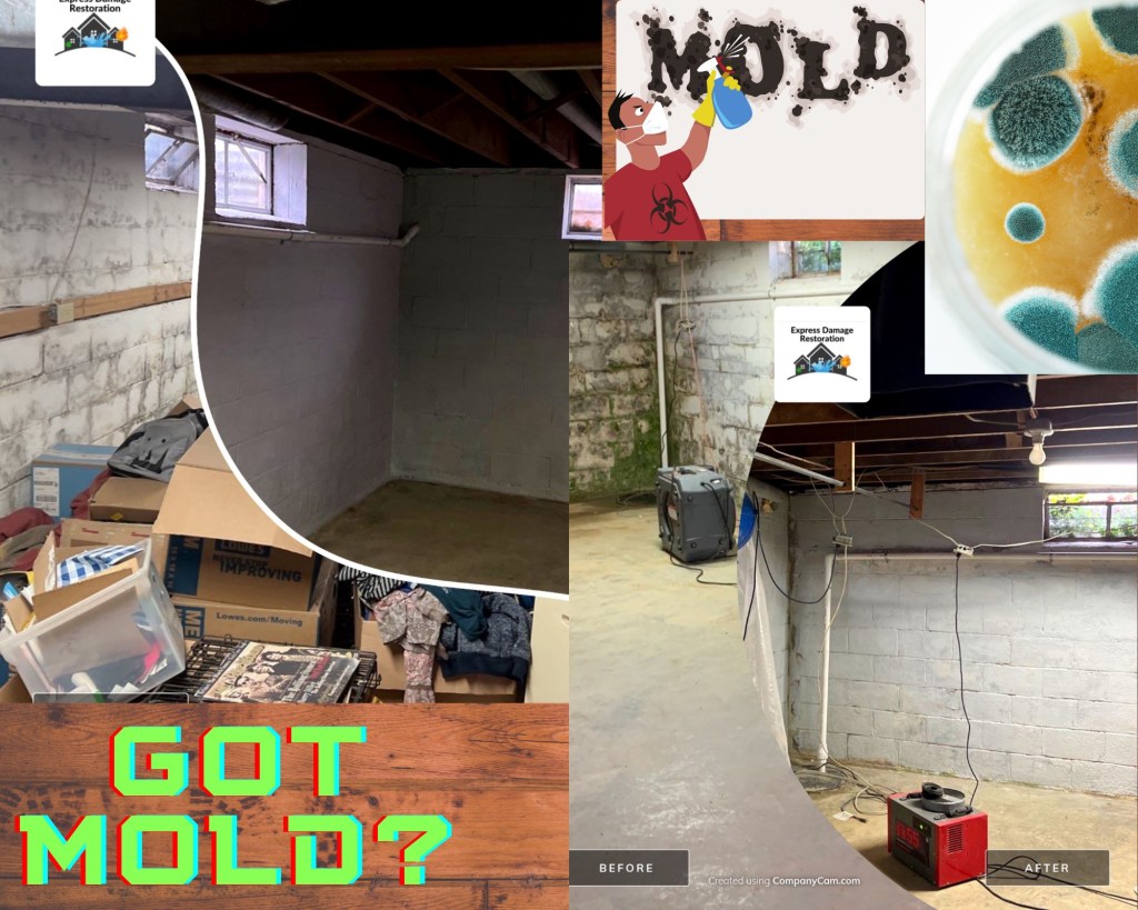 Encapsulated Crawlspace 