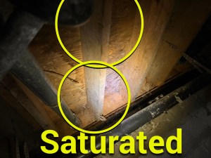  Company Working On Water Damage In A Homeowners Crawlspace